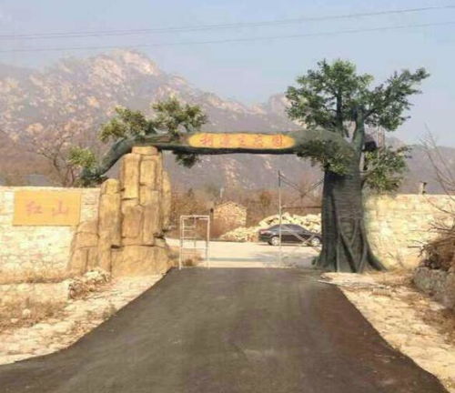 水泥塑樹廠家 景諾園林 在線咨詢 濮陽水泥塑樹